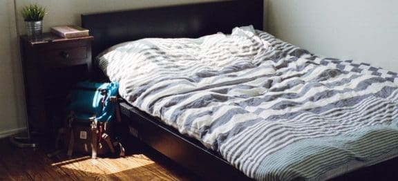 bed bug